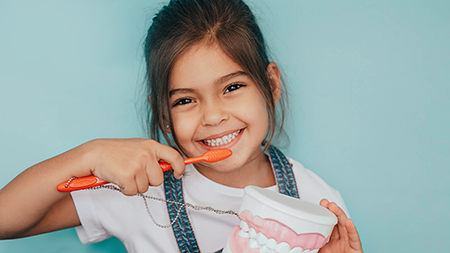 Blue Coral    Pediatric Dentistry   Orthodontics