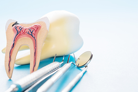 Blue Coral Pediatric Dentistry Orthodontics
